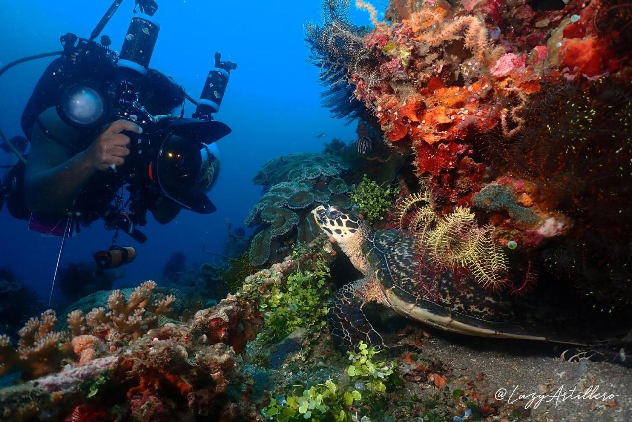 La Tortue Diving Resort Дауин Экстерьер фото