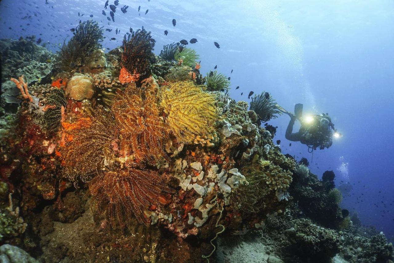La Tortue Diving Resort Дауин Экстерьер фото