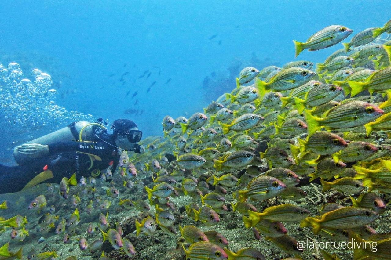 La Tortue Diving Resort Дауин Экстерьер фото